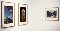 Sector Spotlight: Art Galleries
