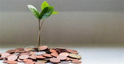 How to Grow Your Business in 8 Easy Steps 