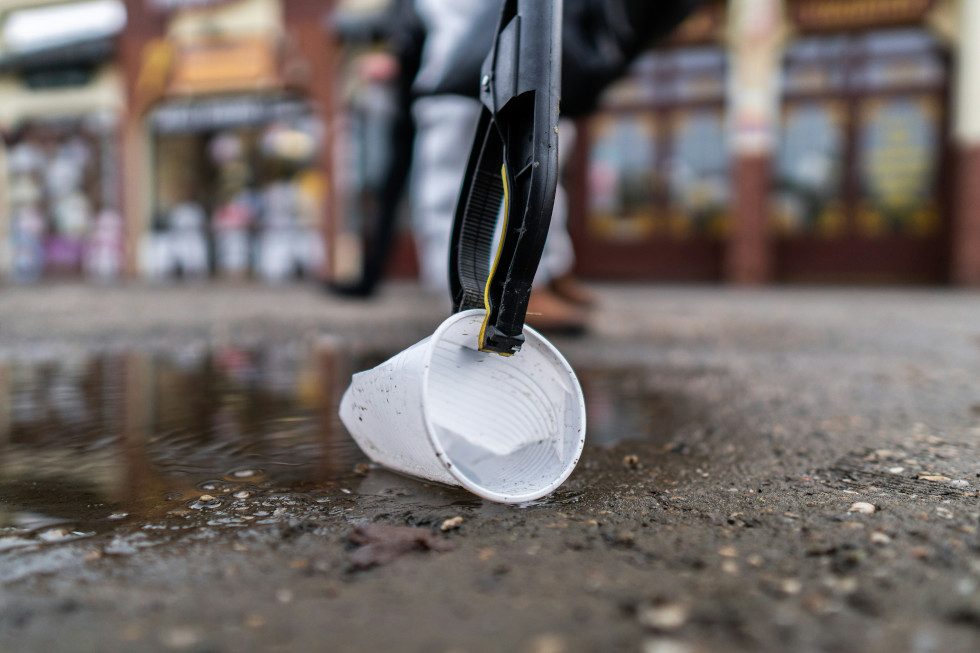 cup