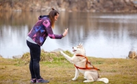 established two-location veterinary care - 1