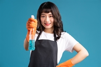 great online cleaning business - 1