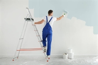 contract painting business 550k - 1