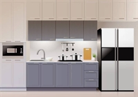 cabinet business + franchise - 1