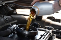 established automotive quick-lube business - 1