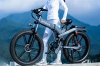 e-bikes franchise - 1