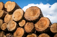 established premium wood products - 1