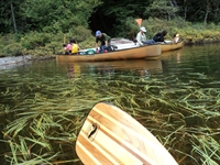 profitable canoe kayak sup - 1