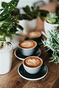 central kelowna cafe - 1