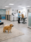 turnkey pet grooming daycare - 1