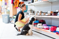 profitable multi-location pet stores - 1
