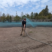 thriving hydroseeding business ottawa - 1