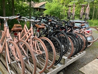 unique bike rental business - 2