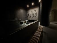 luxury wellness studio langley - 3