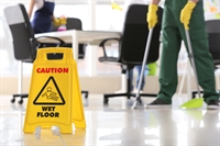 niagara region cleaning business - 1