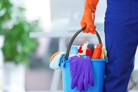 profitable cleaning company greater - 1
