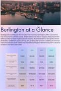 medical investment opportunity burlington - 1