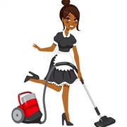 great online cleaning business - 1