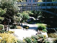 well established gta landscaping - 1