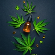established cannabis store calgary - 1