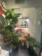 the only flower shop - 3
