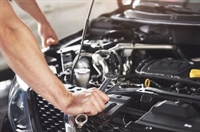 profitable automotive business with - 1