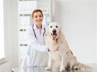profitable pet clinic richmond - 1