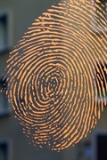 fingerprinting business - 1