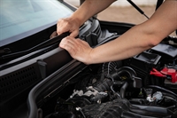 established ottawa automotive service - 1