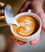 established artisanal café bakery - 1