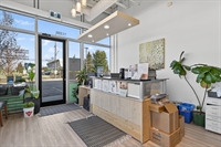 high-revenue naturopathic iv clinic - 2