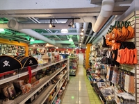 established dollar store burnaby - 2