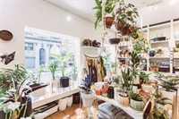 upscale florist home decor - 1