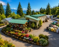 29 year garden centre - 1