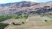 fiften acres vineyard oliver - 3