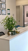 profitable wellness rehab centre - 2