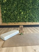 turnkey cash-flow positive wellness - 2
