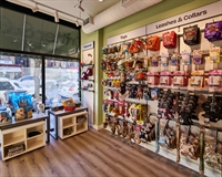toronto independent pet store - 2