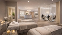 luxury multi location spa - 1