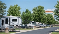 luxury camping resort - 1