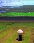well-established virtual golf business - 1