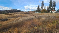 development property kelowna - 2