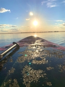 inflatable paddleboard outdoors business - 1