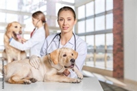 vet practice spacious 5 - 1
