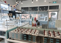 franchise ice cream qsr - 3