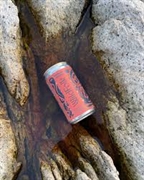 award winning calgary beverage - 1