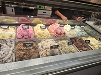 established franchise mississauga - 1