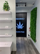 very profitable cannabis retail - 1