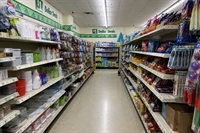 profitable turnkey dollar store - 1