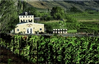 award-winning winery vineyard with - 1