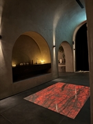 luxury cold plunge sauna - 1